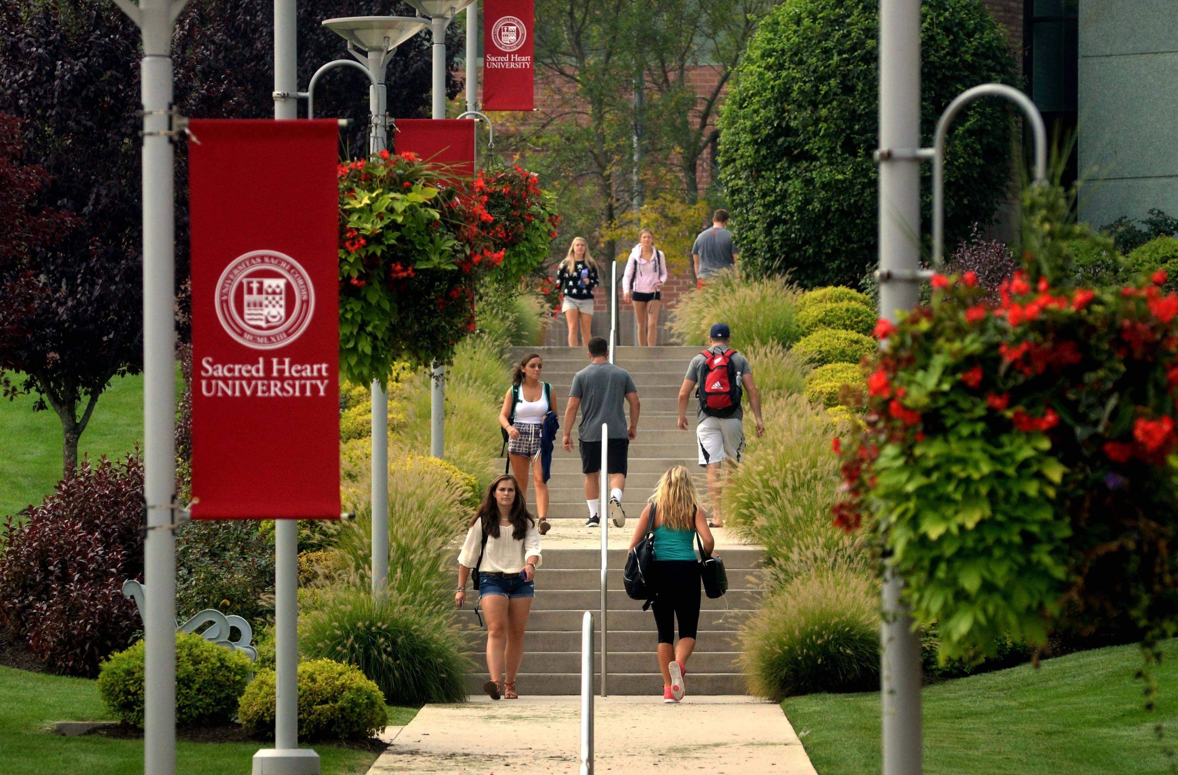 Sacred Heart University — football and basketball LED display systems